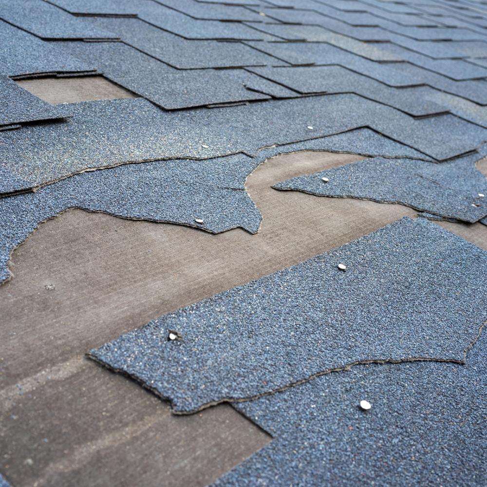 Buddin Services Roofing and Contracting - Roofing Repair